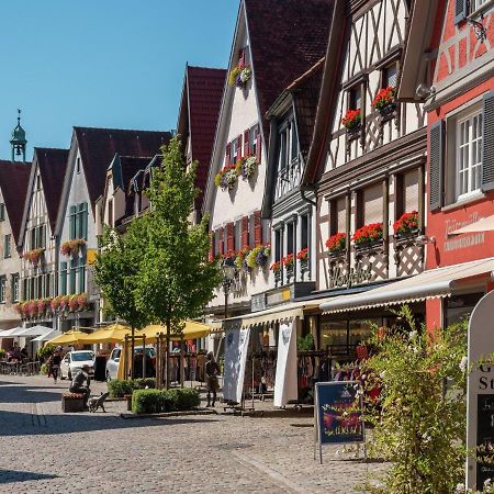Cheerful Apartment Near City Centre Of Haslach 哈斯拉赫 外观 照片