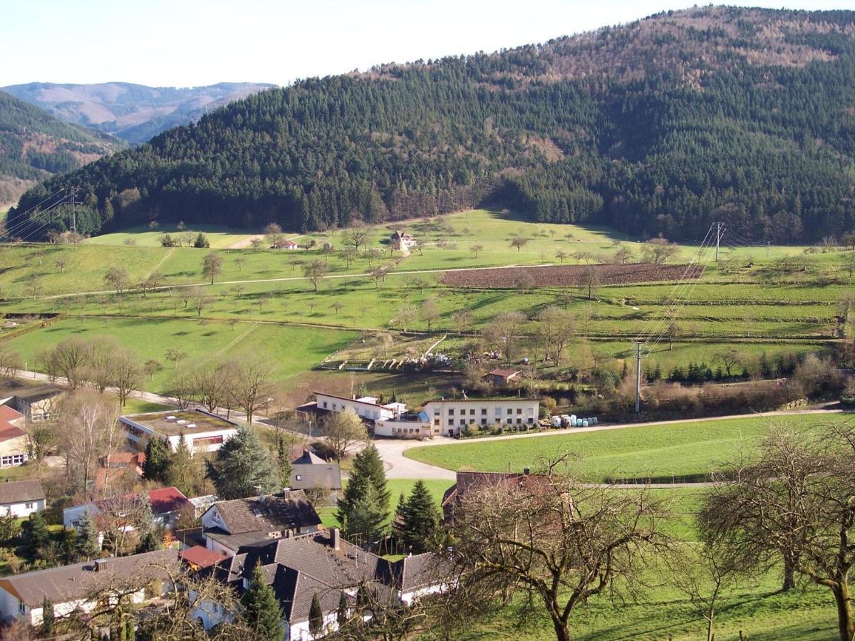 Cheerful Apartment Near City Centre Of Haslach 哈斯拉赫 外观 照片
